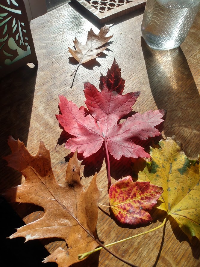 My No Buy&nbsp;November